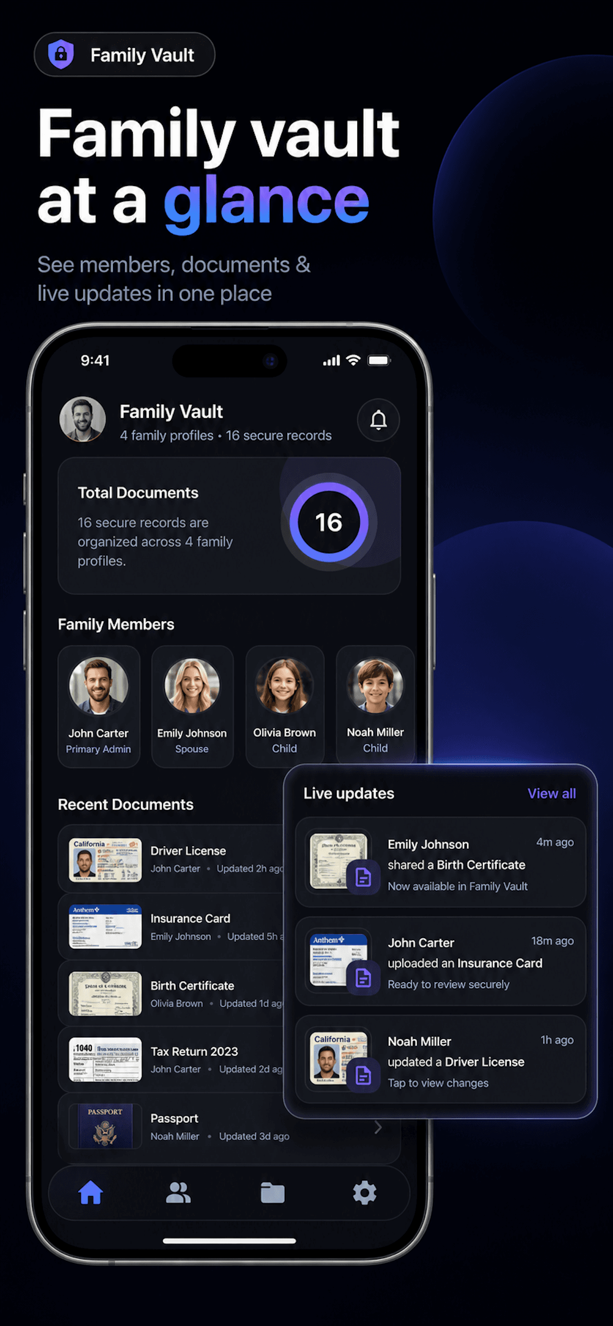 Family Vault dashboard poster